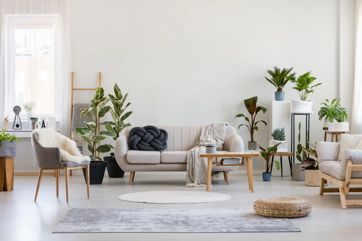 Budgeting Smart: How Roanoke Landlords Can Safeguard Rental Profits